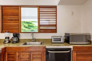Matuk Beach House I Playacar 1 - 2