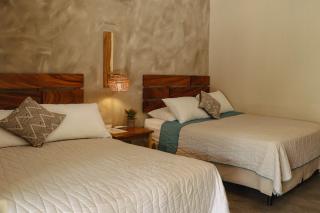 Gecko Hotel - 2