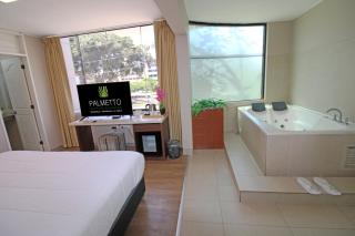 Palmetto Hotel Business La Perla - 7