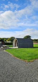 Eastridge Glamping - Camping Pods - 9