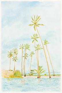 NANNAI Milagres - 9