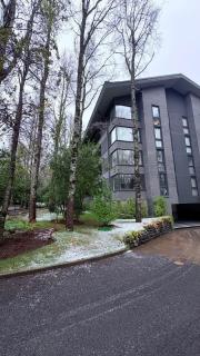 Nuevo Departamento Pucon - Los Boldos - 2