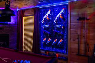 NEW Game Rm, Nerf, Outdoor Pool, Sauna, HotTub - 4