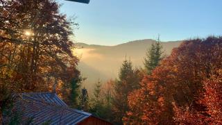 Chalet paisible dans les Cévennes - 9