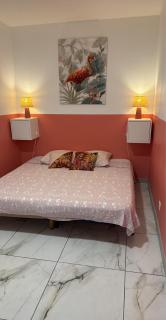 Gite Flamant Rose - 8