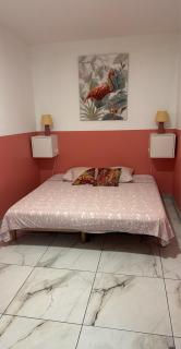 Gite Flamant Rose - 9