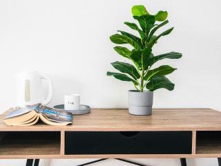 Apartment with shared kitchen in Vedersø - 5