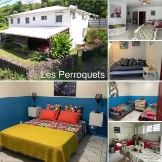 Gites Perroquets - 0