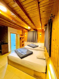 Woody house - 1