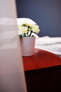 Hotel Rahovets - Gorna Orjahovica - 6