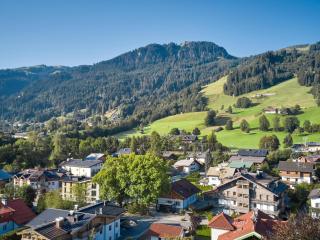 Stadtchalet Forsthaus - 1