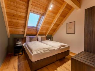 Mountain Chalet Aquarius 5A - 2