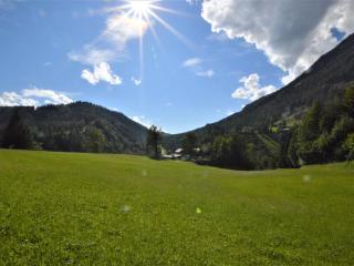 Bienenheim - 1