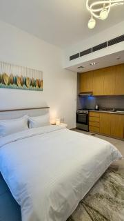 Cozy Studio Apartment in Almamsha Sharjah - 0