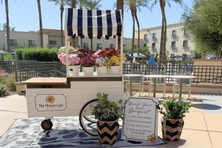 Hilton Scottsdale Resort & Villas - 1