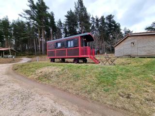 Roulotte nature, animaux admis - 3 pers. - FR-1-496-395 - 3