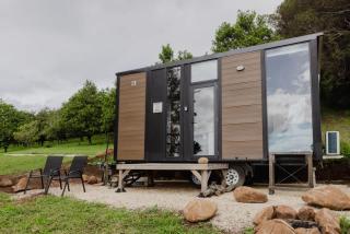 8 Farm Macadamia Plantation 2 by Tiny Away - 9