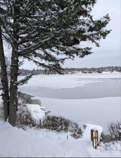 Refuge Boréal - Bord du lac paisible - 1