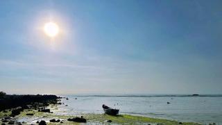 Du mục stay - 6