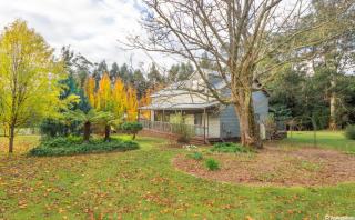 Mountain Ash Lodge- set amongst the trees - 8
