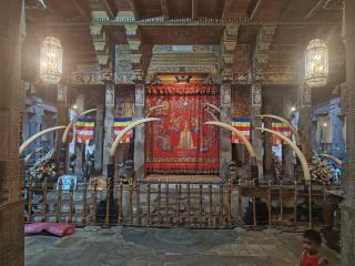 Tiny Homestay - 5