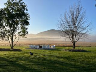 Mt Hope Farmstay 2 houses 16 guests 700 acres pool tennis crt - Mingoola - 1