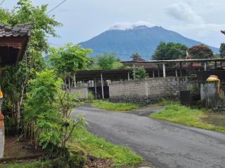 Villa Taman NEAR SIDEMEN - 8