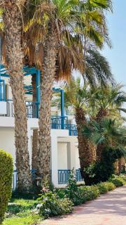 Relaxing Apartment by Lagoon with Palm View - 4