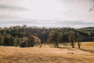 The Wollombi Wanderer by Tiny Away - 0
