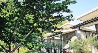 V Valley Resort - 7