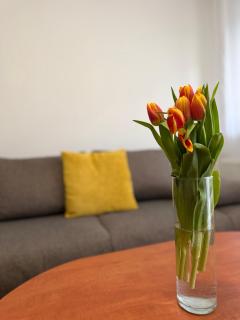 Yellow Sun Apartman - 1