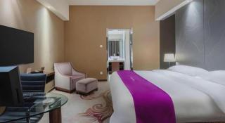 Metropolo Hotel Hefei Baohe Wandabao Park Metro Station - Hefei - 4