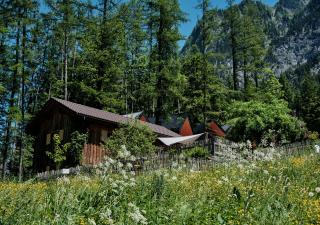 Älmele - Waldchalets Brandnertal - 8