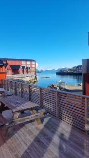 Lofoten Finnvika Lodges - 3