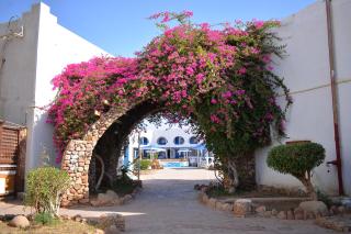 Aida Resort Sharm El Sheikh - Full Board Plus - 8