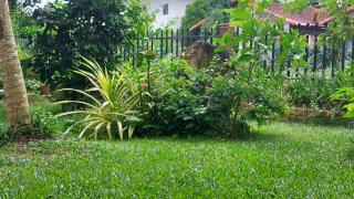 Bamboo garden resort phú quốc - 9
