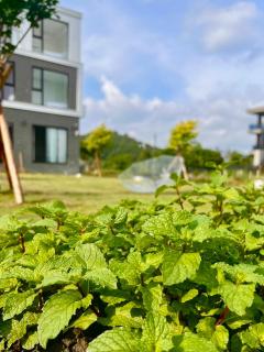 有風別院 - 1