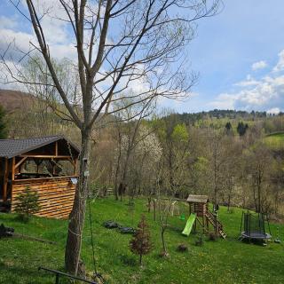 Forest House Doftana - 1