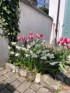 Spacious light-flooded apartment with garden at Lake Zurich - Männedorf - 1