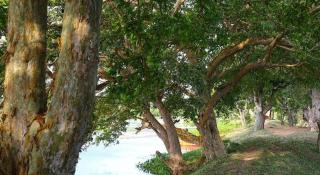 Bestlife Eco Resort Mattala Airport - 4