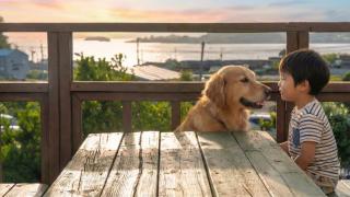 Yeosu Noeul Walk Pet Pension - 5