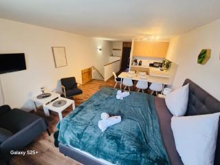 Ferienwohnung Harmonia inklusive Hallenbad, Außenpool, Sauna & Fitnessstudio, familienfreundlich ausgestattet, großes 2-Zimmer-Apartment - 8