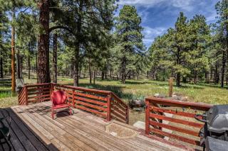 The Ponderosa Scenic Forest Views Fire Pit BBQ Pet-Friendly Now with Wi-Fi - 7