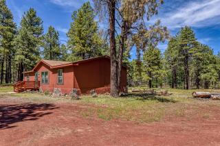 The Ponderosa Scenic Forest Views Fire Pit BBQ Pet-Friendly Now with Wi-Fi - 4