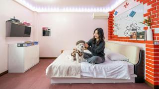Gapyeong Haneuldari pet pension - 9