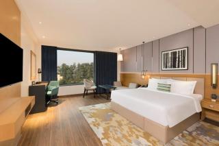 voco Amritsar by IHG - 3