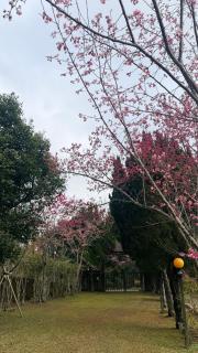 迦南山莊 - 8