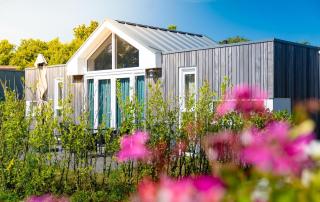 Camping Hotel Renesse - Renesse - 8