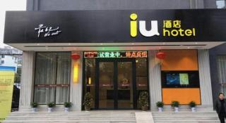 IU Hotels·Xinyu City Government Xianlai Park - 4
