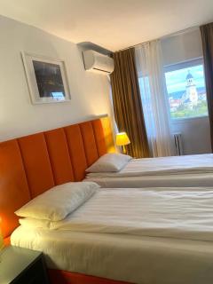 Hotel Cetate - 8
